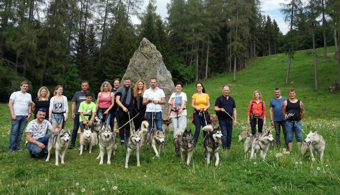 Workshop mit Wanderung mit Huskies (Gruppe)