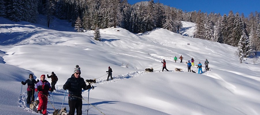 Schneeschuhwanderung mit Huskies (Gruppen) 